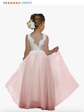 2Bunnies 3T Full-Length Straight Lined Layered Tulle Skirt Lace Back Party Dress